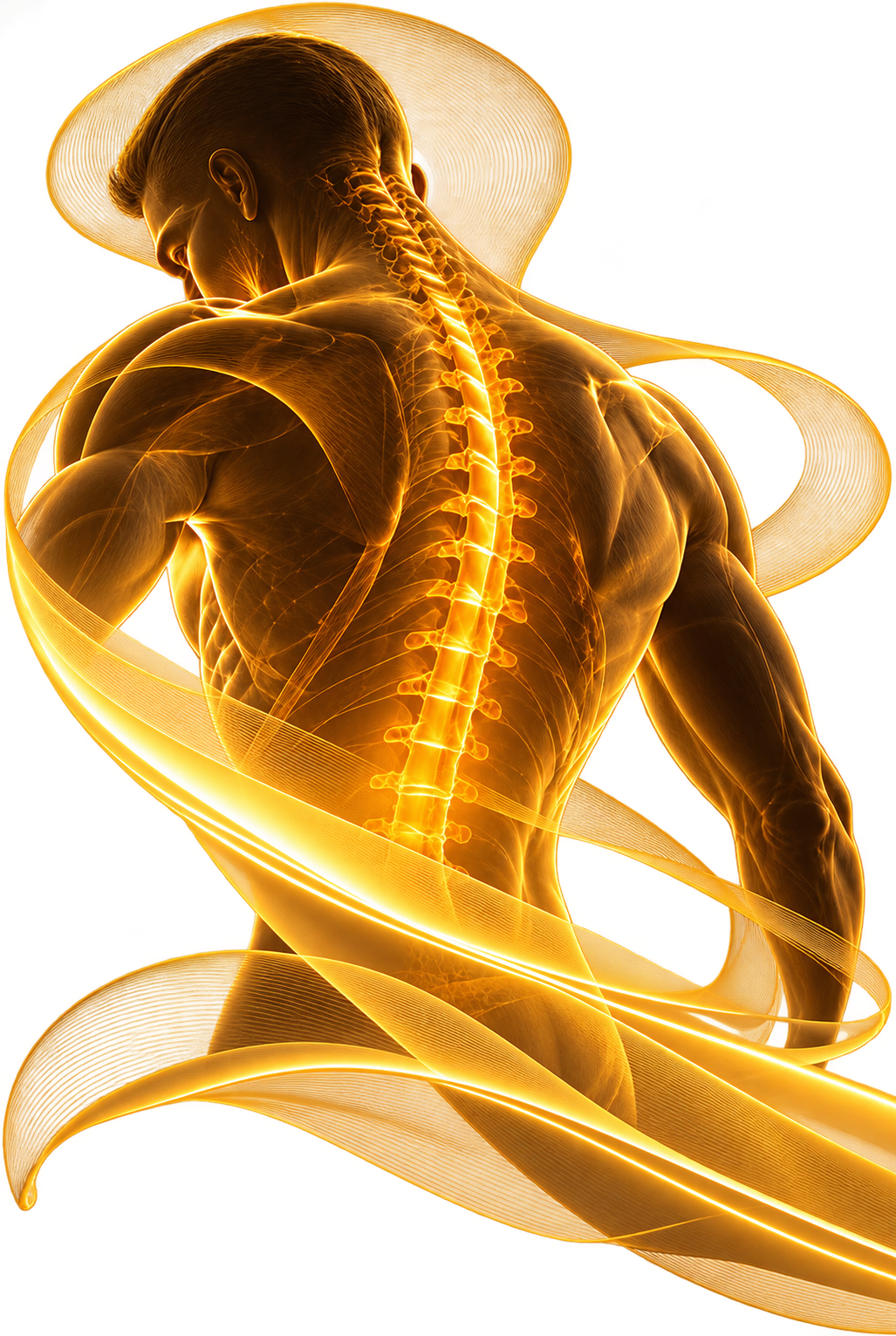 Glowing Golden Spine with Light Ribbons